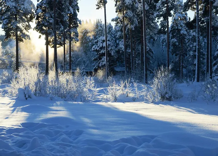 Feriehus 14 - Fulufjellets Nasjonalparker - Sno - Alpint - Langrenn - Snoscooter Trysil