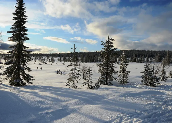 14 - Fulufjellets Nasjonalparker - Sno - Alpint - Langrenn - Snoscooter Трисиль