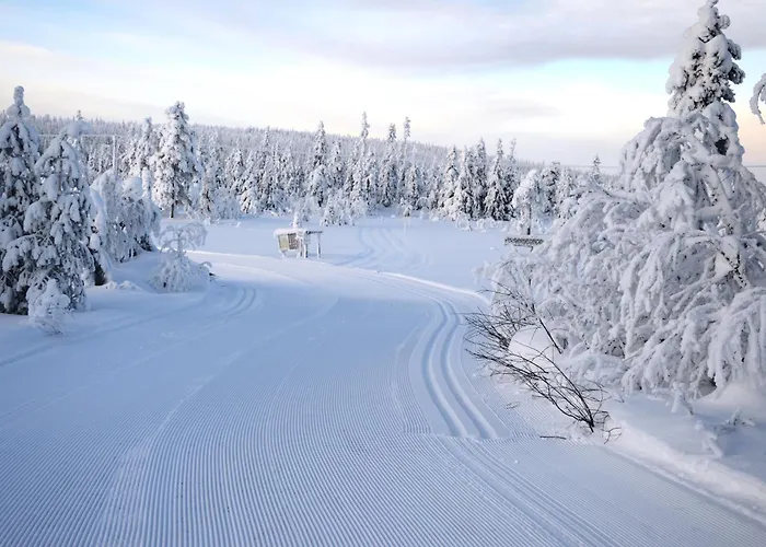 14 - Fulufjellets Nasjonalparker - Sno - Alpint - Langrenn - Snoscooter