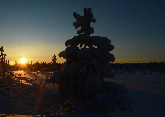 14 - Fulufjellets Nasjonalparker - Sno - Alpint - Langrenn - Snoscooter Casa de Férias