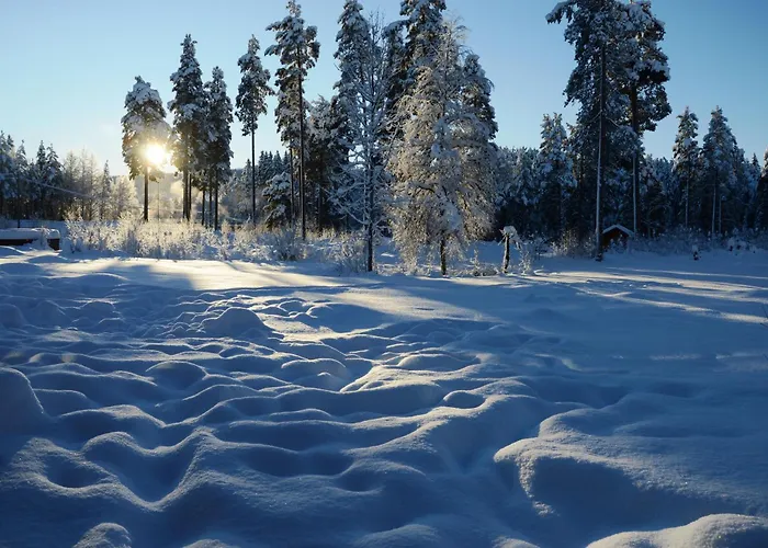 14 - Fulufjellets Nasjonalparker - Sno - Alpint - Langrenn - Snoscooter Feriehus *