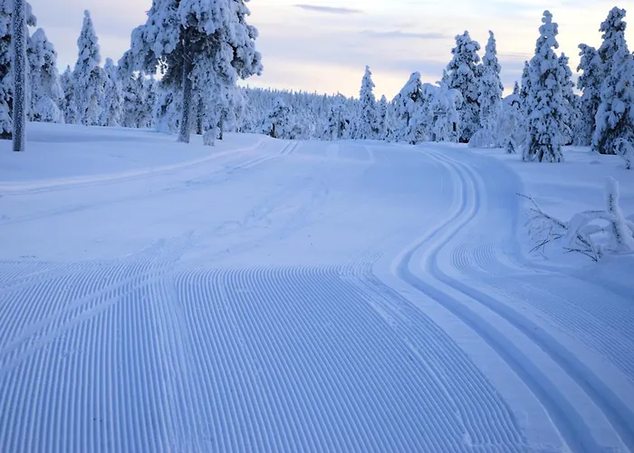 14 - Fulufjellets Nasjonalparker - Sno - Alpint - Langrenn - Snoscooter * Трисиль