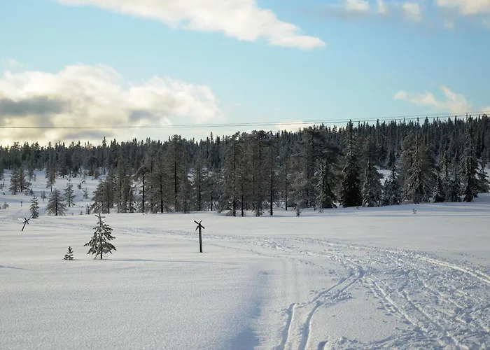 14 - Fulufjellets Nasjonalparker - Sno - Alpint - Langrenn - Snoscooter Дом отдыха