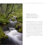 14 - Fulufjellets National Parks-this Is The Place Where Norway And Sweden Meet In A Large Protected Area For Animals And Nature Tatil Evi Trysil