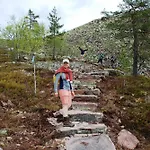 14 - Fulufjellets National Parks-this Is The Place Where Norway And Sweden Meet In A Large Protected Area For Animals And Nature