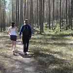14 - Fulufjellets National Parks-this Is The Place Where Norway And Sweden Meet In A Large Protected Area For Animals And Nature * Trysil
