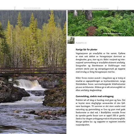 14 - Fulufjellets Nasjonalparker - Sno - Alpint - Langrenn - Snoscooter Casa de Férias Trysil