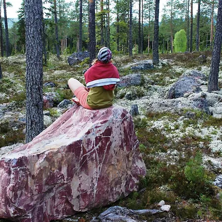 14 - Fulufjellets Nasjonalparker - Sno - Alpint - Langrenn - Snoscooter Casa de Férias Trysil