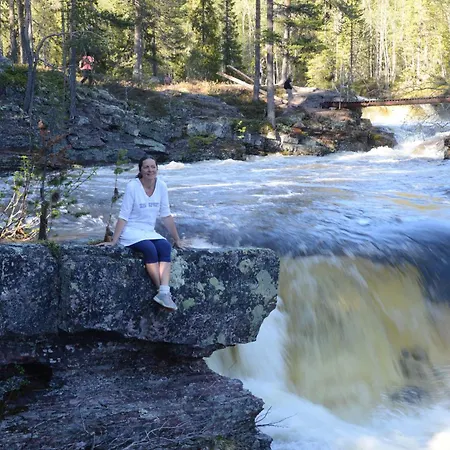 Casa de Férias 14 - Fulufjellets Nasjonalparker - Sno - Alpint - Langrenn - Snoscooter