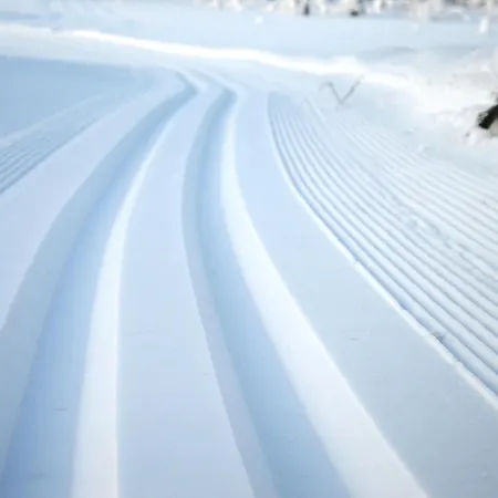 14 - Fulufjellets Nasjonalparker - Sno - Alpint - Langrenn - Snoscooter