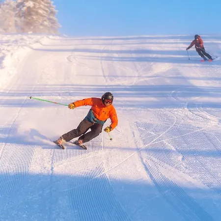 14 - Fulufjellets Nasjonalparker - Sno - Alpint - Langrenn - Snoscooter Trysil