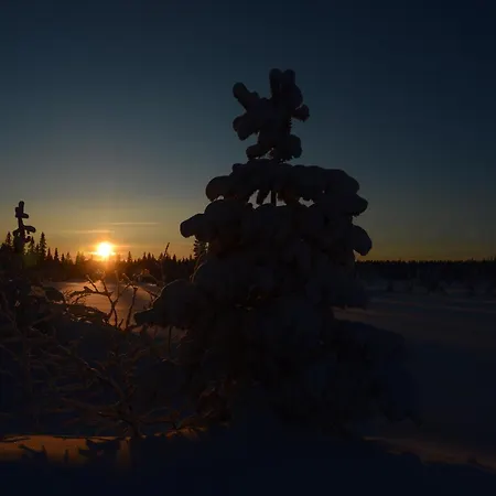 14 - Fulufjellets Nasjonalparker - Sno - Alpint - Langrenn - Snoscooter Casa de Férias Trysil