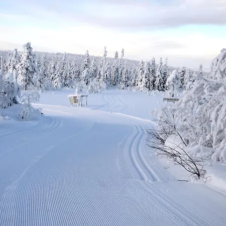 14 - Fulufjellets Nasjonalparker - Sno - Alpint - Langrenn - Snoscooter