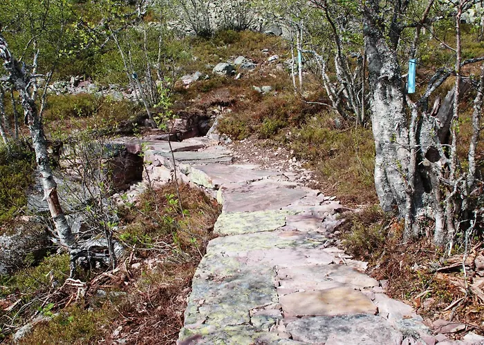 14 - Fulufjellets Nasjonalparker - Sno - Alpint - Langrenn - Snoscooter Hébergement de vacances *