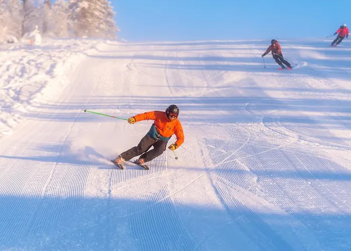 14 - Fulufjellets Nasjonalparker - Sno - Alpint - Langrenn - Snoscooter Trysil