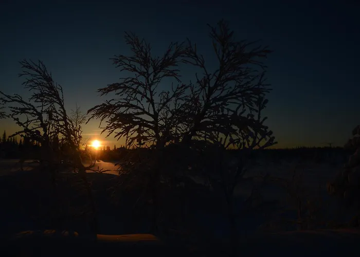 14 - Fulufjellets Nasjonalparker - Sno - Alpint - Langrenn - Snoscooter *