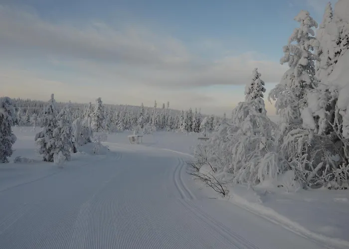 14 - Fulufjellets Nasjonalparker - Sno - Alpint - Langrenn - Snoscooter Hébergement de vacances Trysil