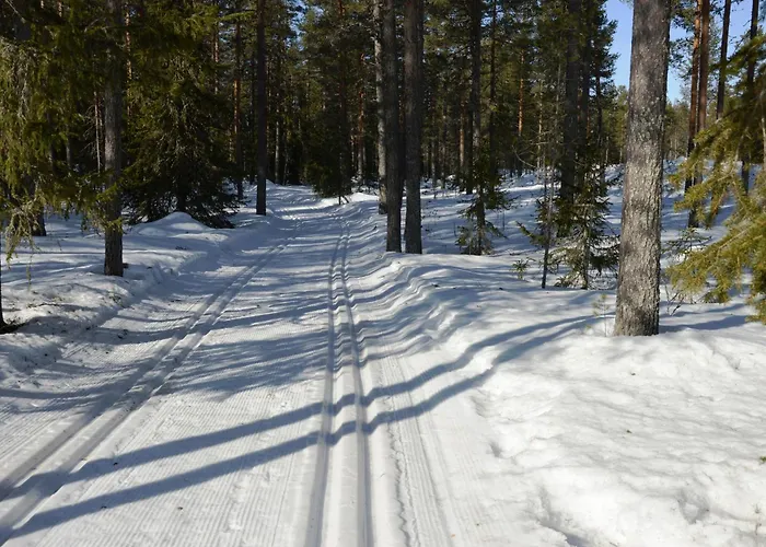 Prázdninový dům 14 - Fulufjellets Nasjonalparker - Sno - Alpint - Langrenn - Snoscooter *